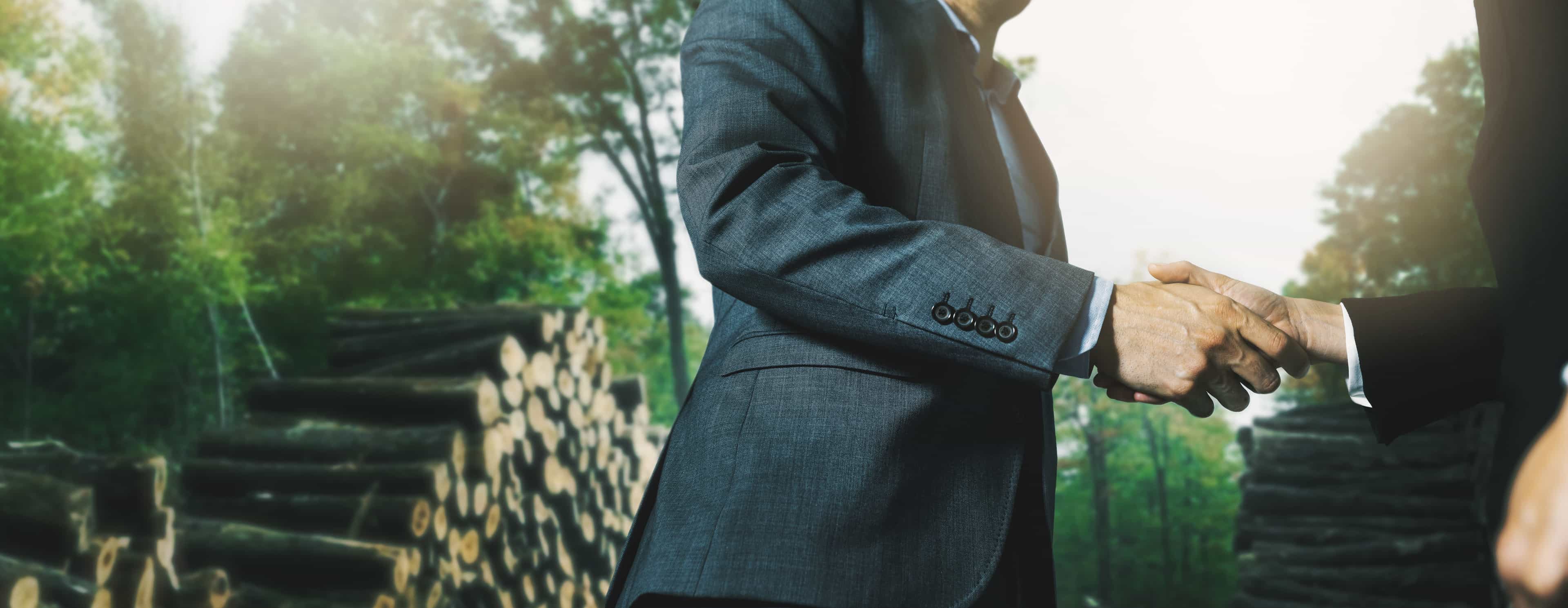 Hero image for Sunshield Staining 