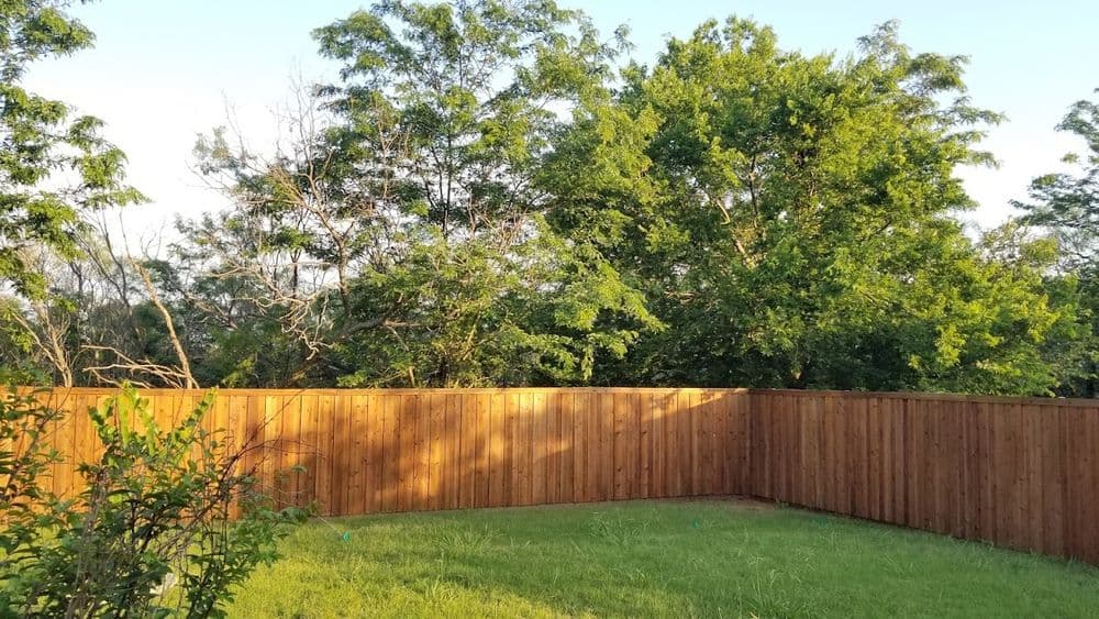 Gallery photos for Revitalize Your Fence with Stunning Staining: Image #84