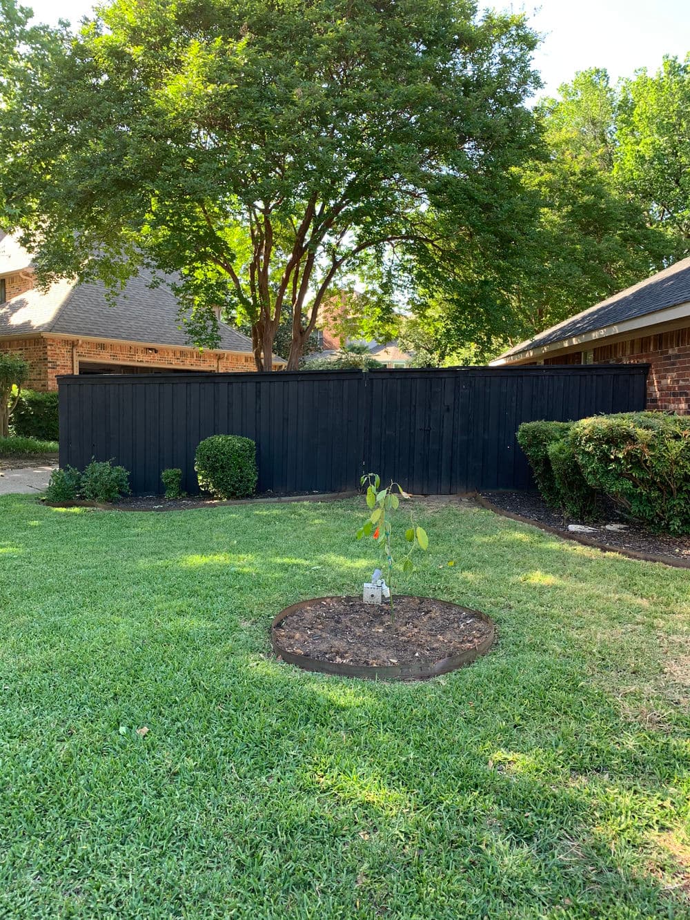 Gallery photos for Revitalize Your Fence with Stunning Staining: Image #86